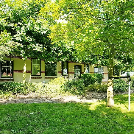 Vidaa * بلايسفايك